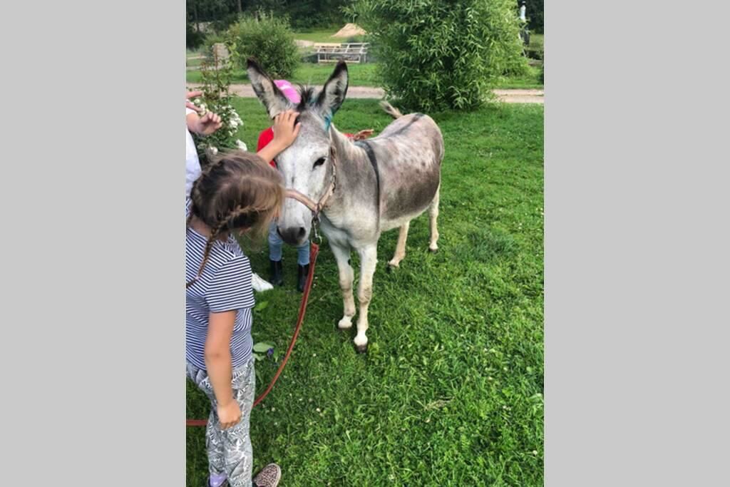 Дома для отпуска Kamelia turismitalu Võnnu-16